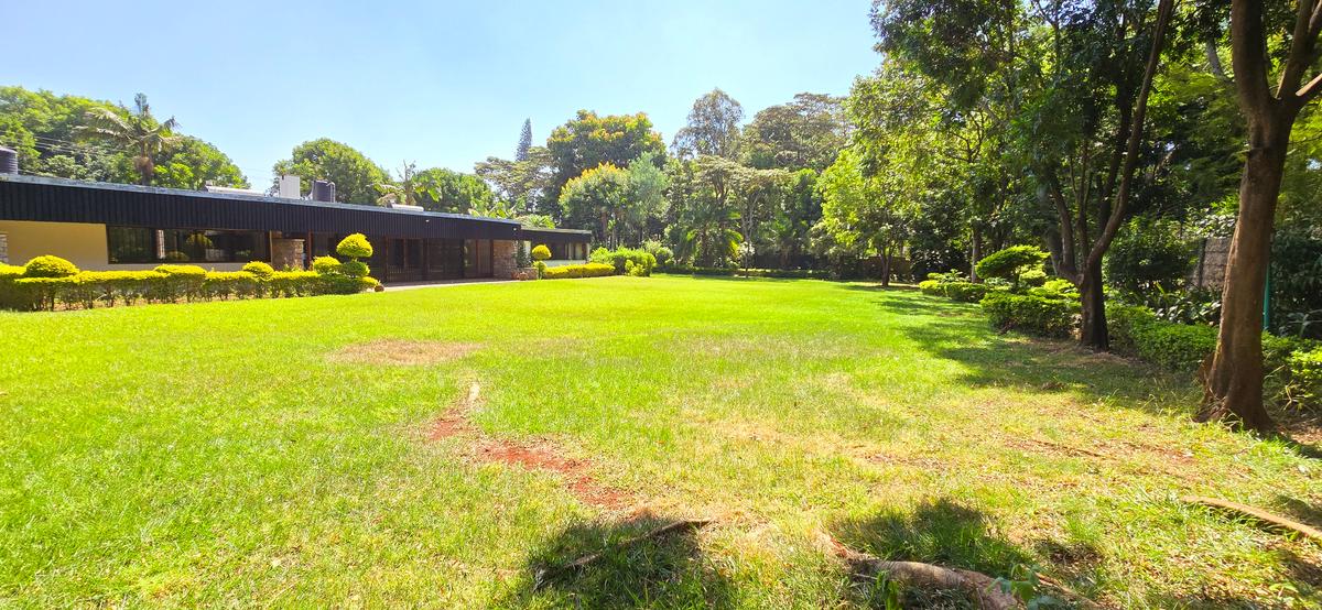Commercial Property with Service Charge Included at Muthaiga Road - 5