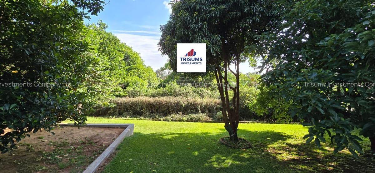 0.75 ac Commercial Property with Fibre Internet in Westlands Area - 1