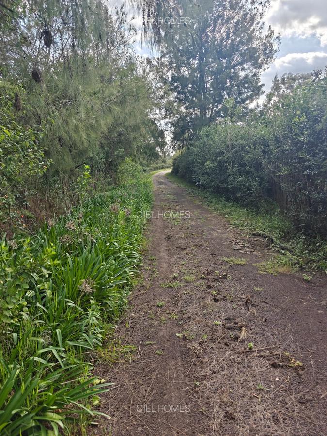 5 ac Land in Karen - 3