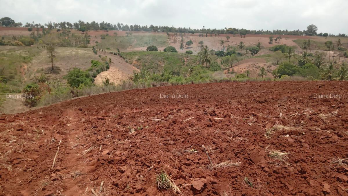 2.41 ac Land at Makonde Rd - 3