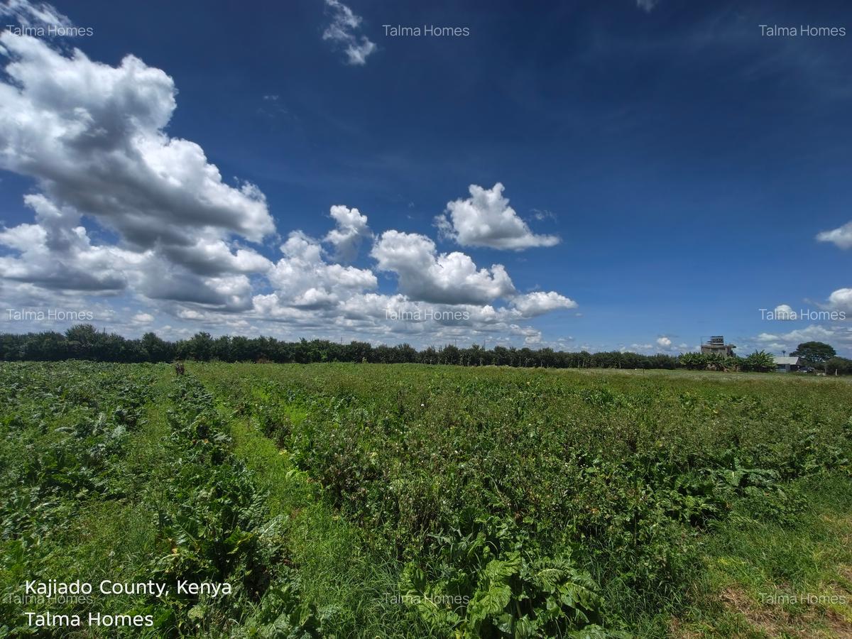 10 ac Land at Isinya - 20