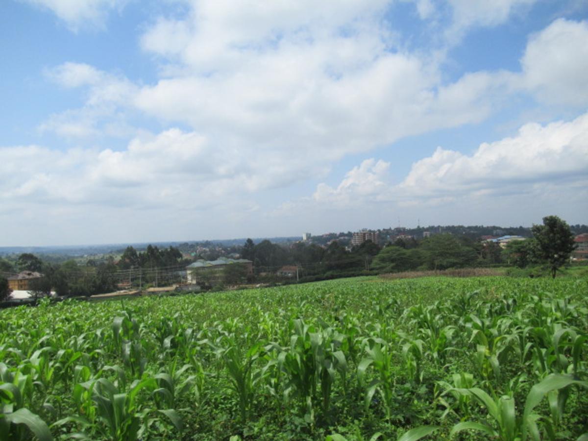 Land at Ngong Town - 10