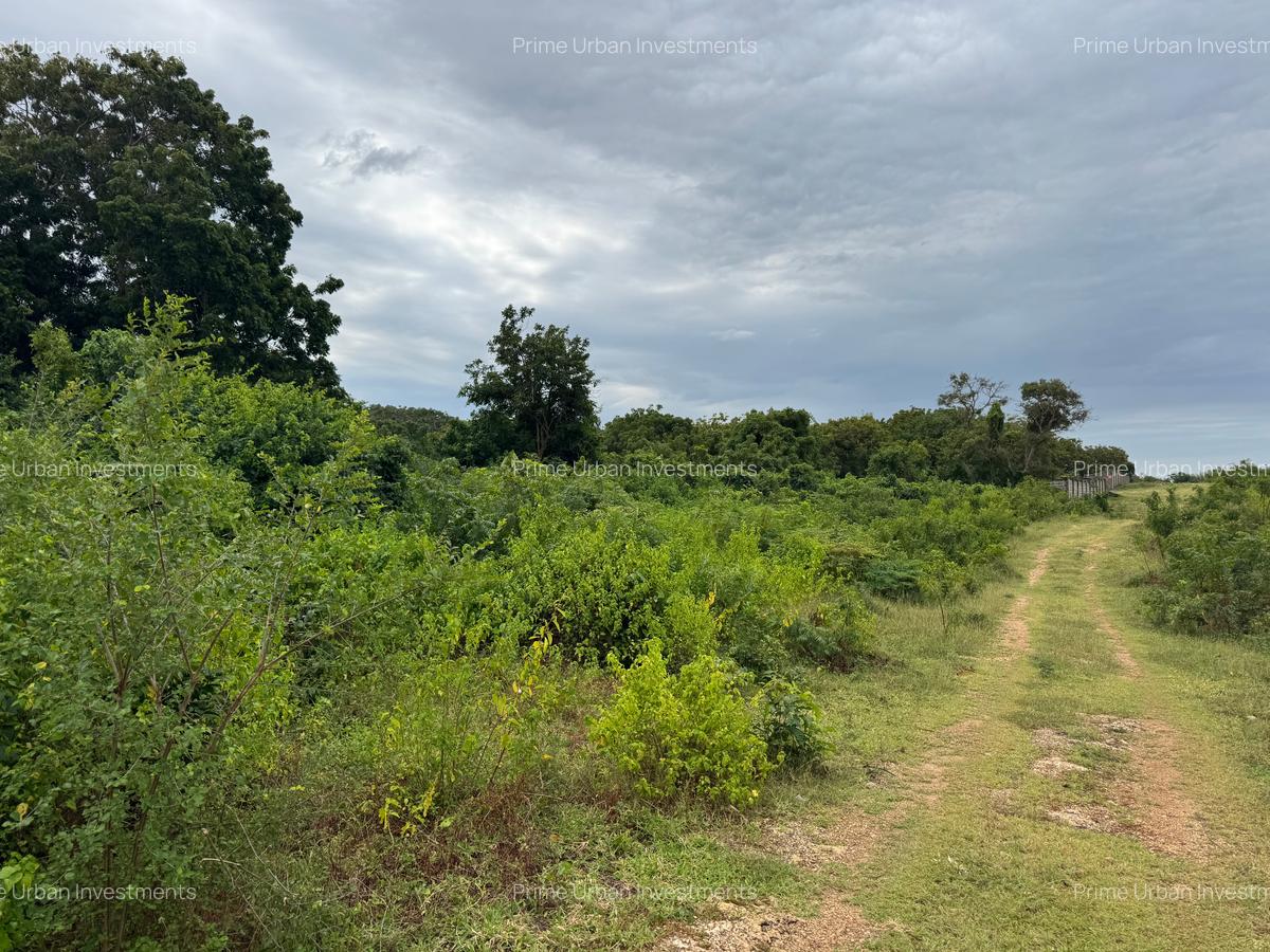 10 ac Land in Vipingo - 6