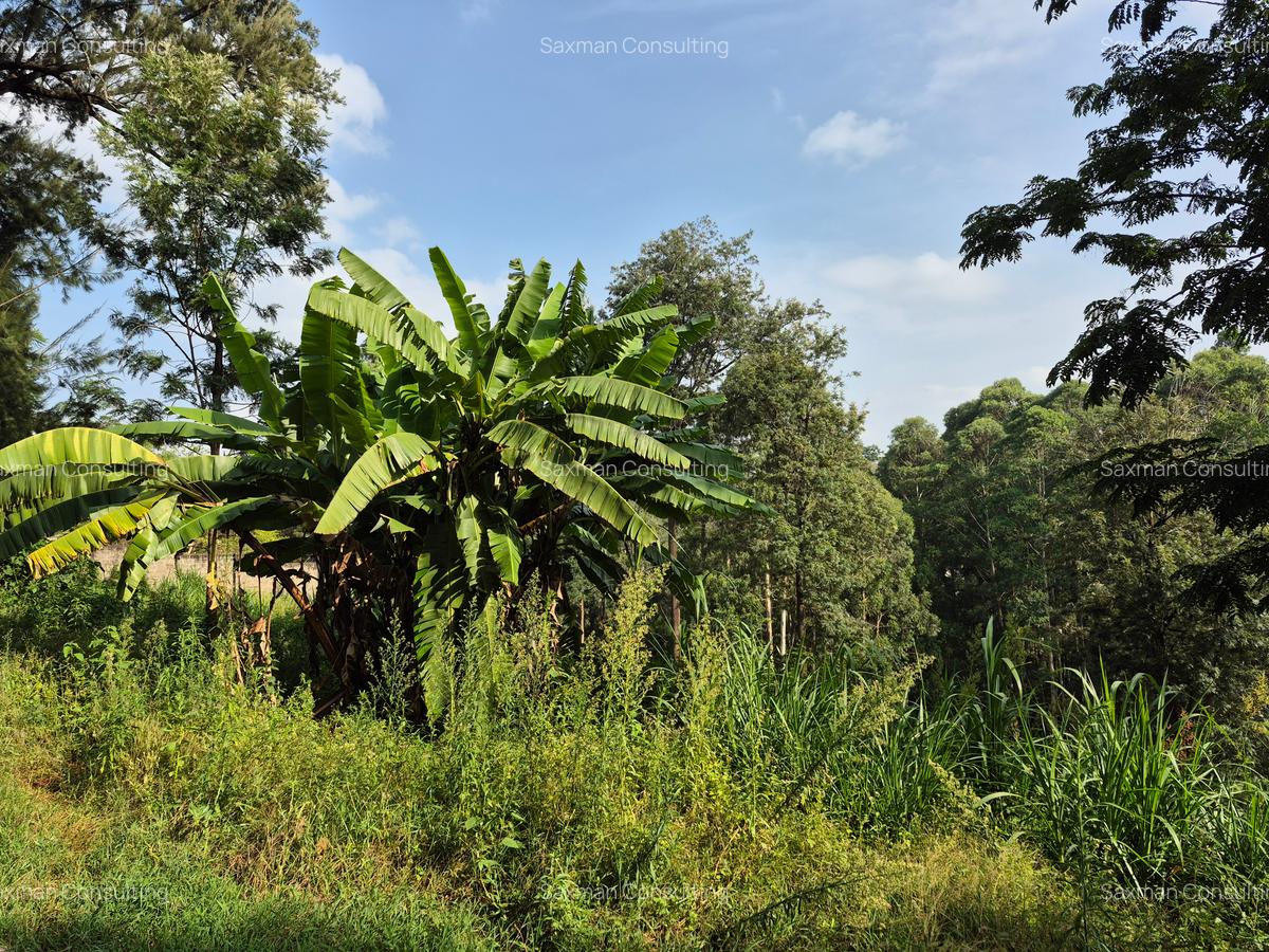 Land in Kitisuru - 8