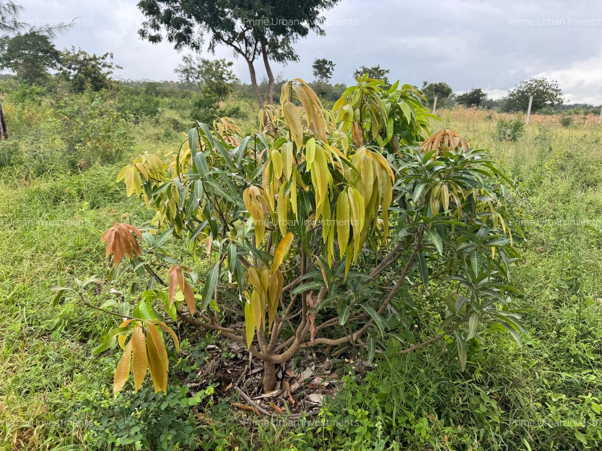 3.8 ac Land in Vipingo - 19