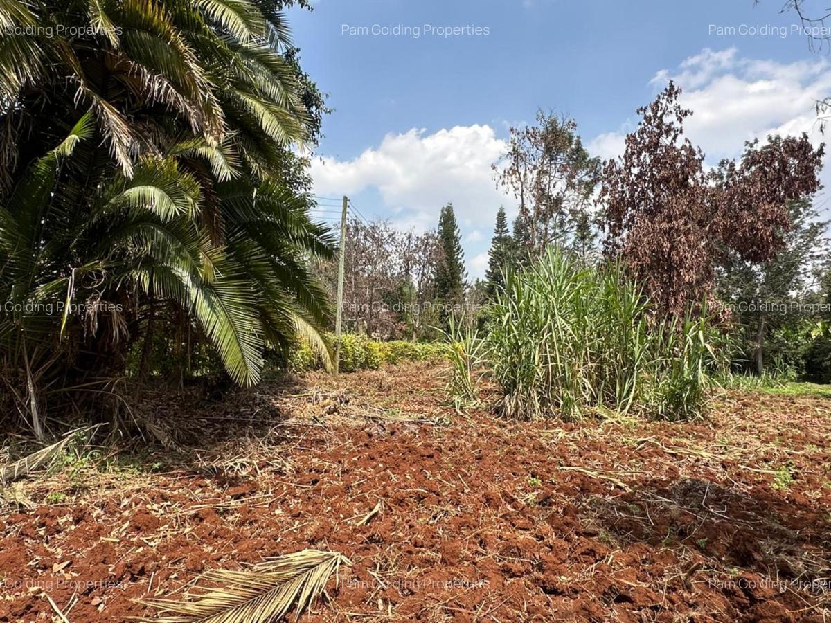 0.5 ac Residential Land at Muthithi Estate Gardens - 7
