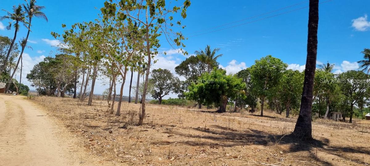 1 ac Land at Creek Beach Side - 13