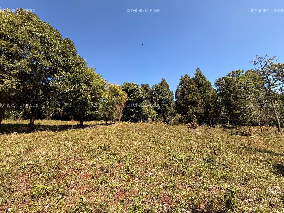 6.36 ac Land at Tigoni - 5