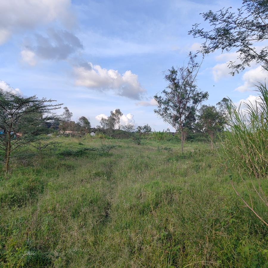 Commercial Land at Daggorett Road - 8