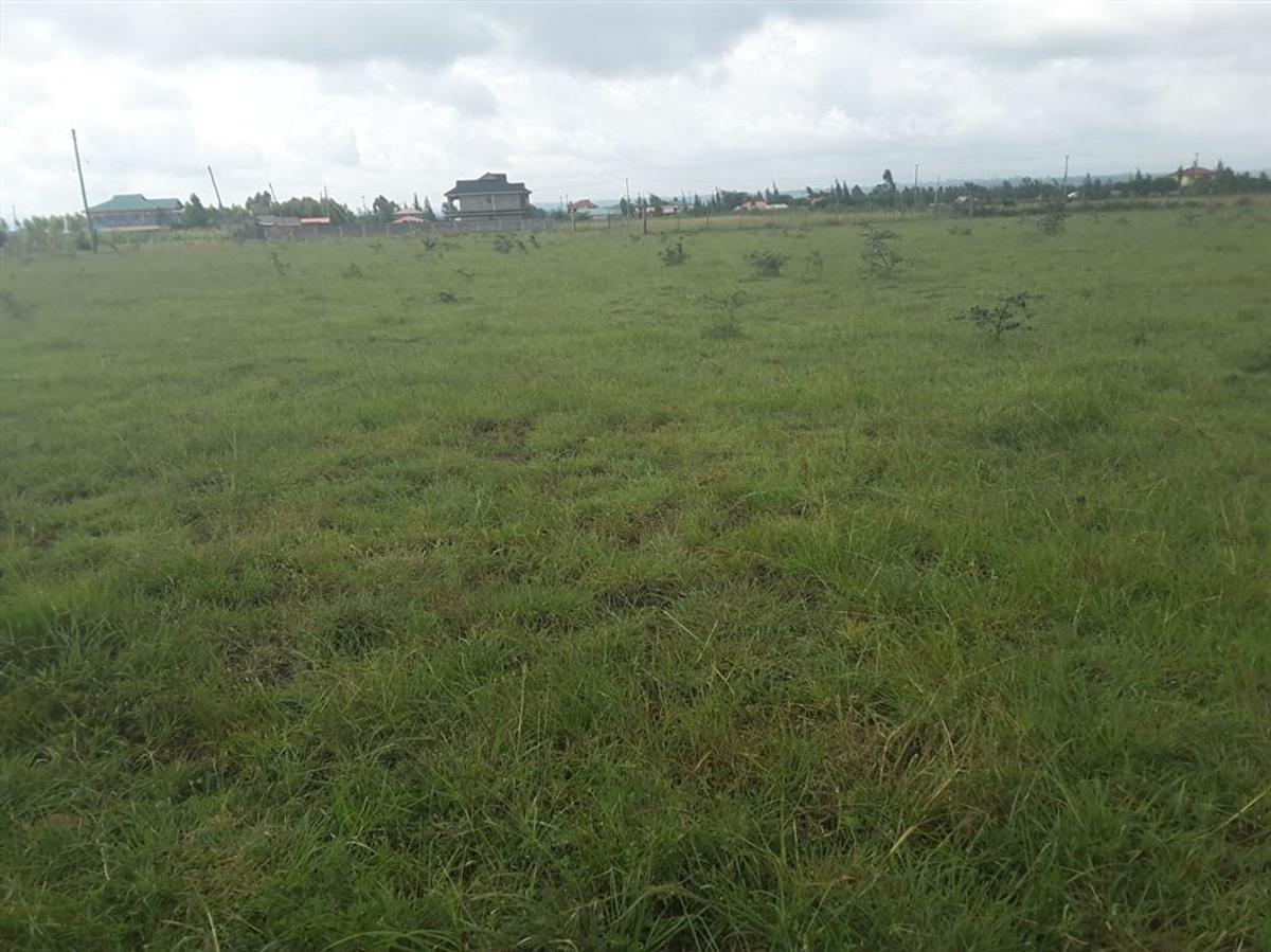 0.1 ac Residential Land in Ongata Rongai - 3