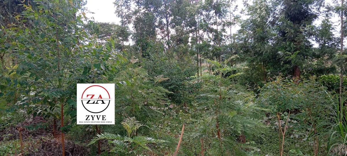 0.125 ac Land at Kasphat Estate - 6