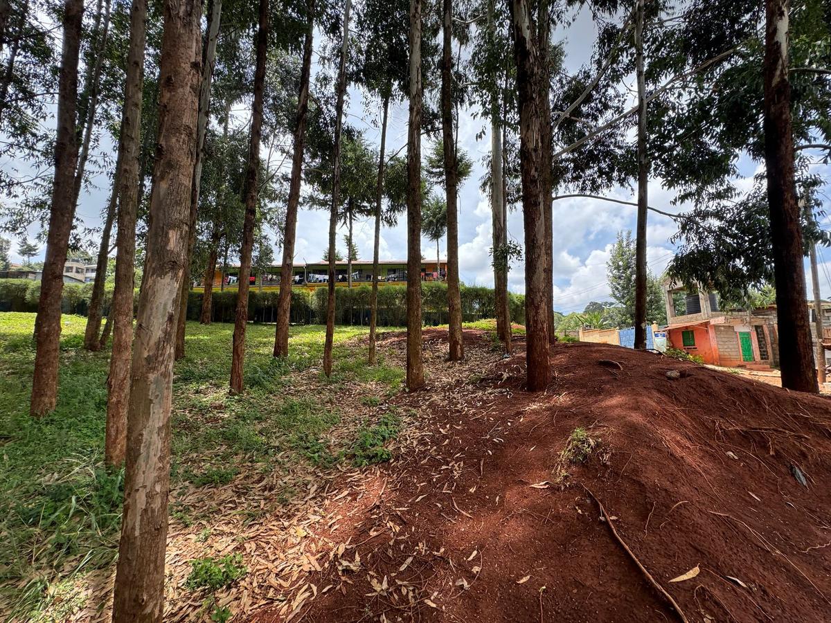 Land in Uthiru - 5