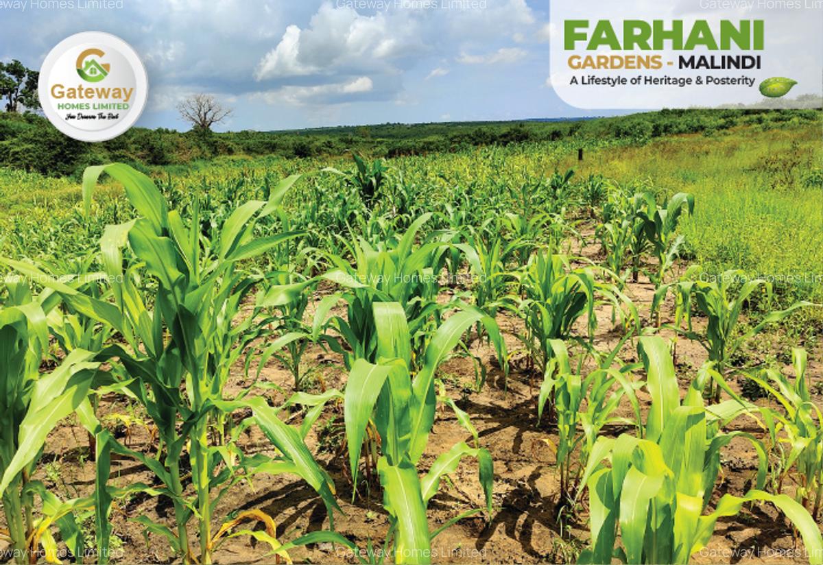 1 ac Residential Land in Malindi - 11