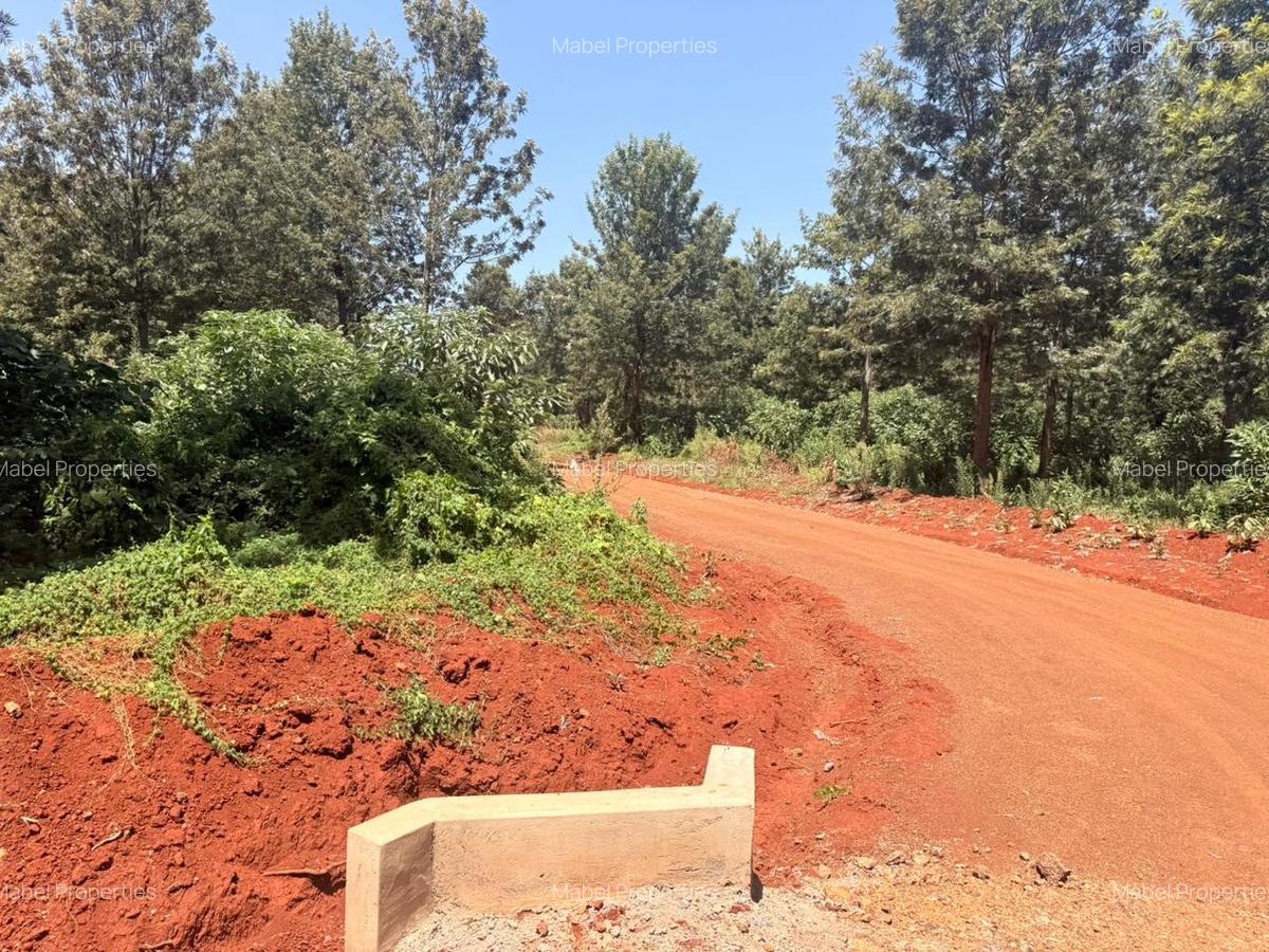 Residential Land in Ruiru - 7