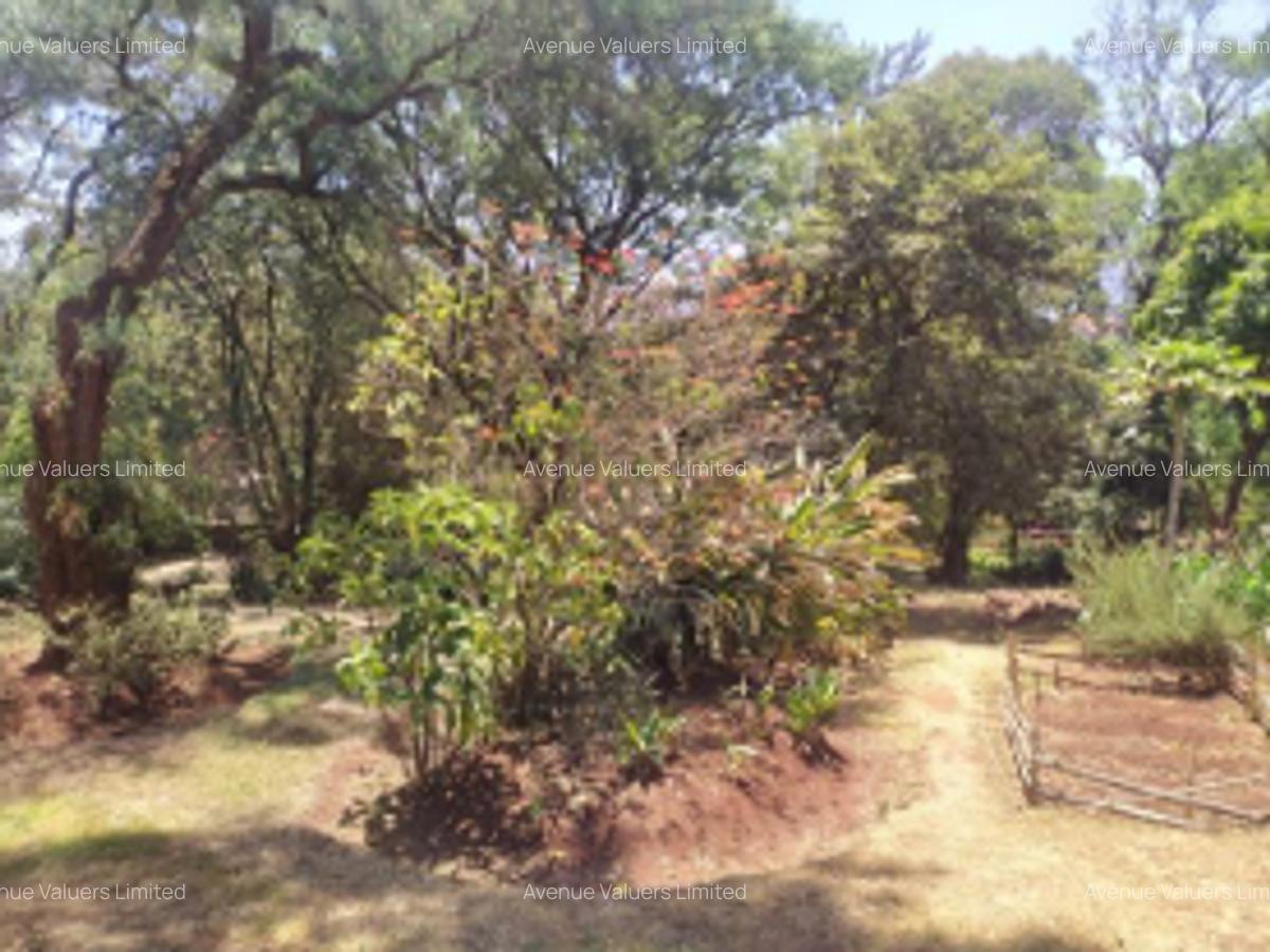 1.45 ac Residential Land at Mageta Road - 3