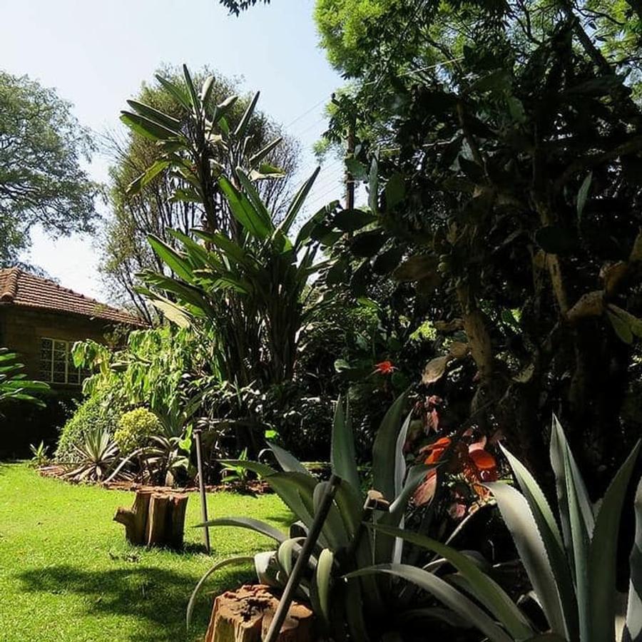 0.75 ac Land at Chalbi Drive - 4