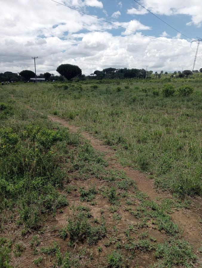 0.25 ac Commercial Land at Lake View - 10