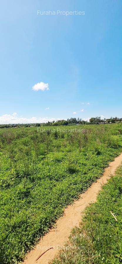 Land at Vipingo - 4