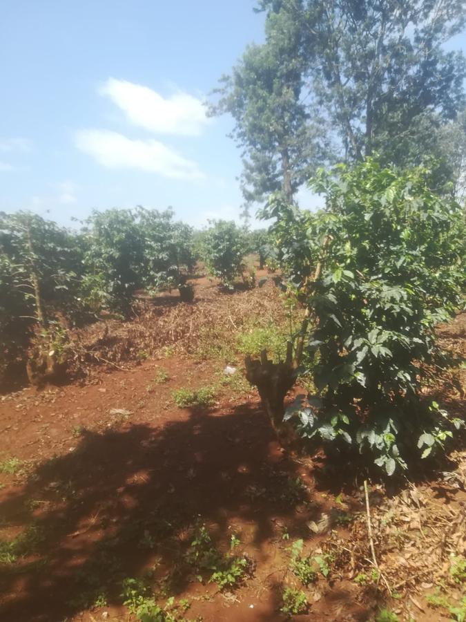 403 ac Land at Near Tatu City Estate - 2