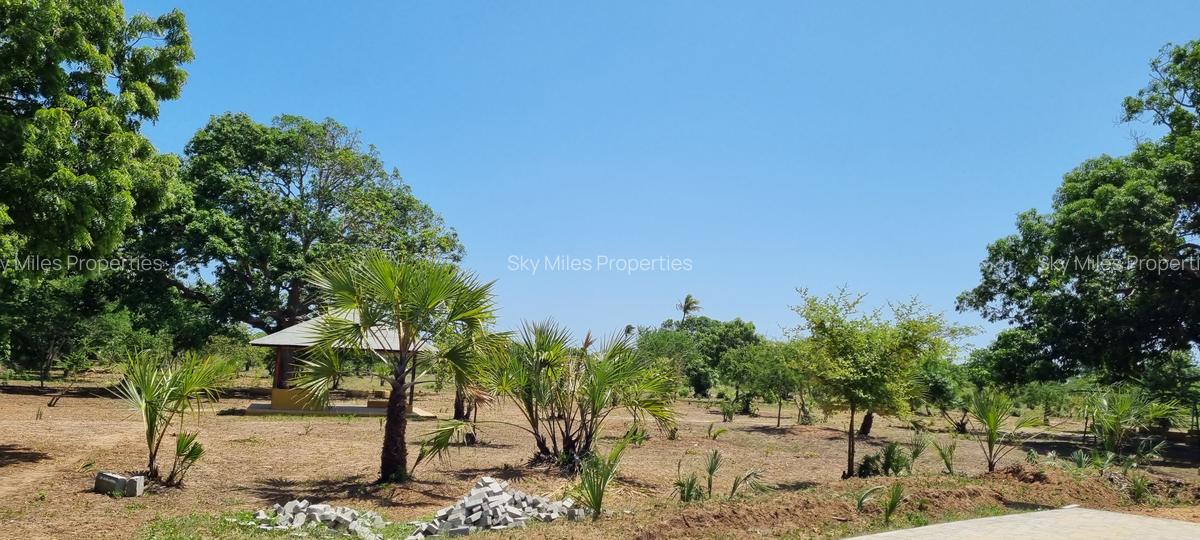 1,000 ft² Land at Kuruwitu - 8