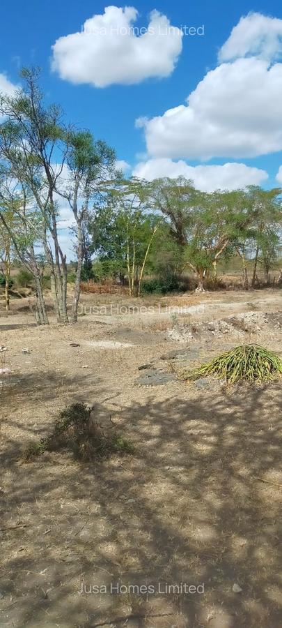 39 ac Land in Malaa - 16