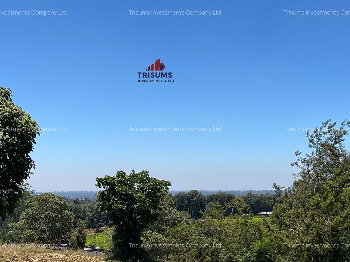 1.5 ac Land in Tigoni - 9