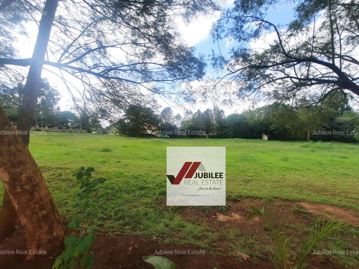 8,094 m² Commercial Land in Kitisuru - 3