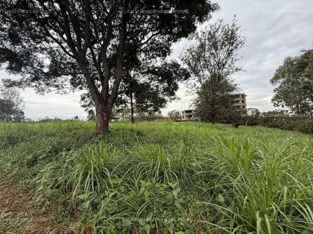 0.5 ac Land in Ruaka - 7