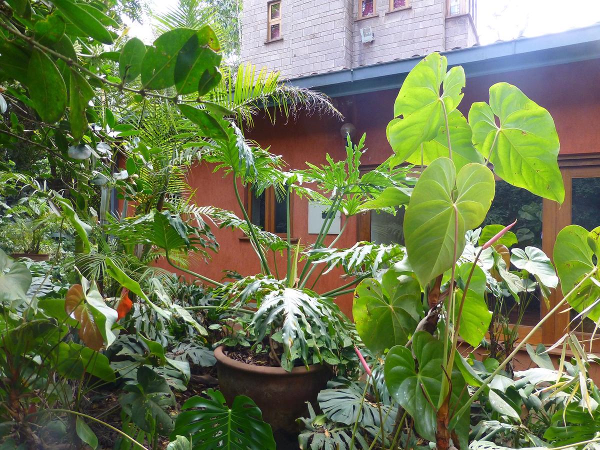 2 Bed Townhouse with En Suite in Kyuna - 17