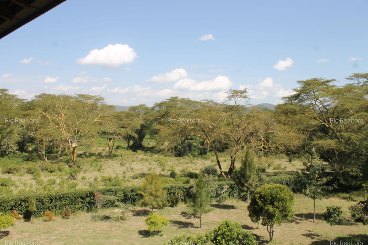 4 Bed House with En Suite at Kinja ( Oloiden - Naivasha ) - 12