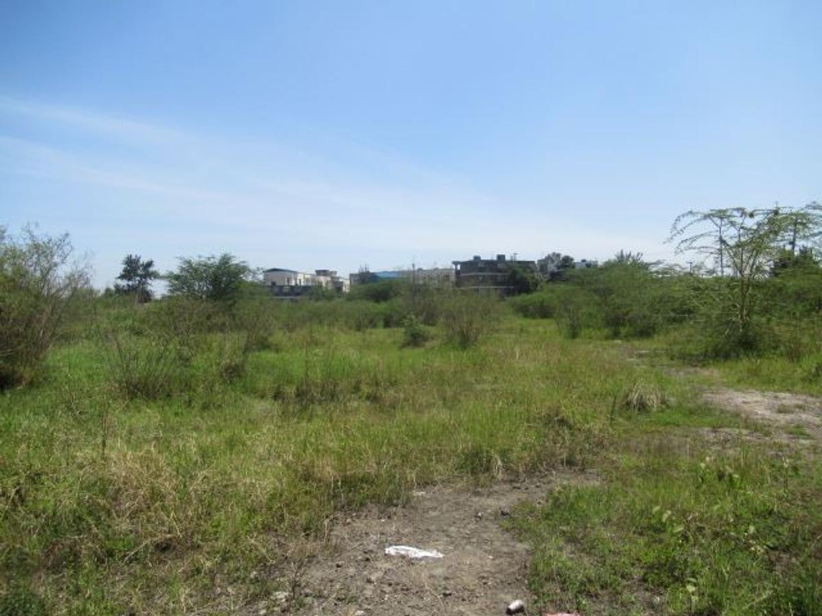 23,796 m² Commercial Land at Nyasa Road - 3