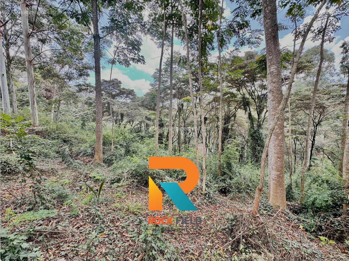 4.08 ac Land at Farasi Lane - 8