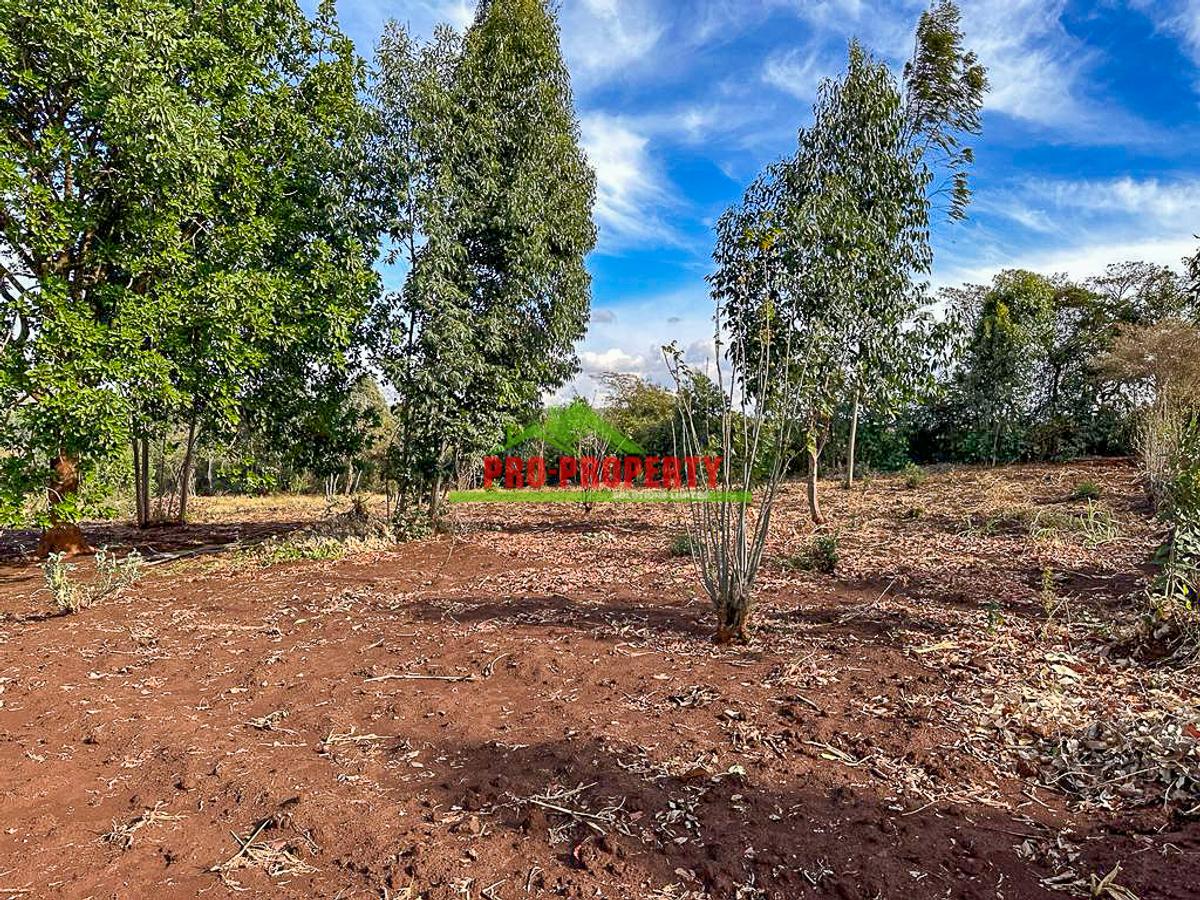 0.05 ha Residential Land at Riu Nderi - 8