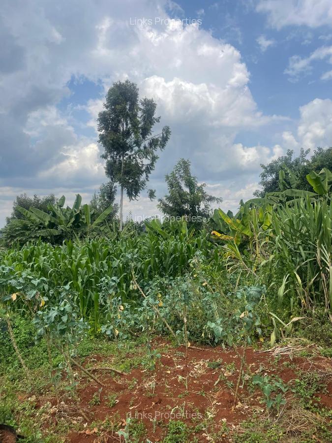 Residential Land at Kerarapon Road - 3