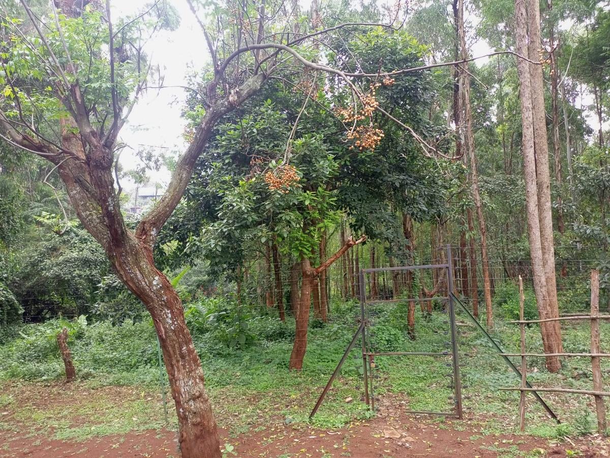 1 ac Land in Kitisuru - 2