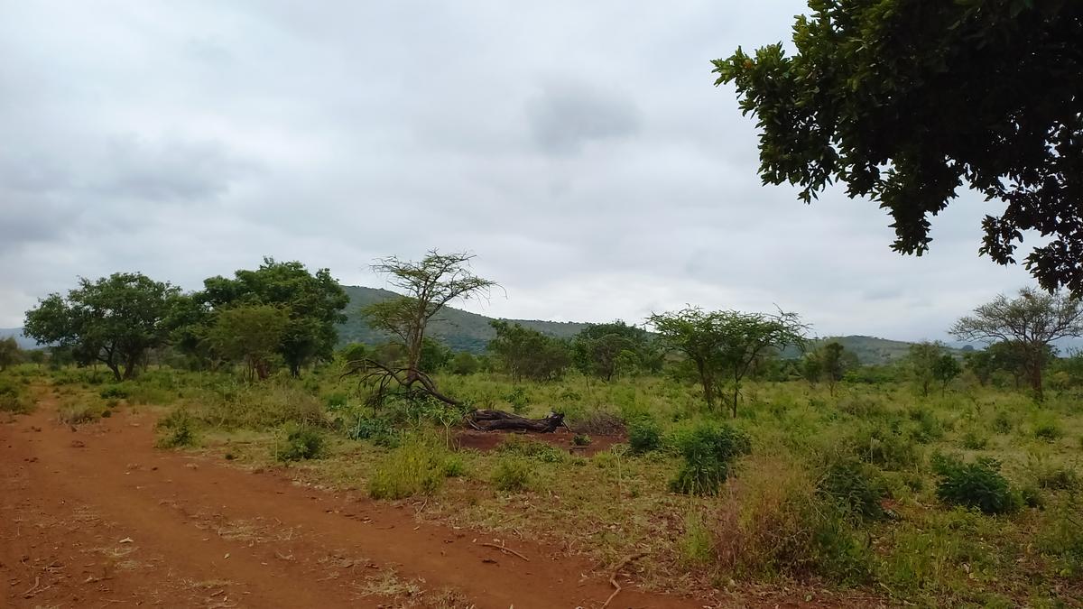 100 ac Land in Mombasa Road - 10