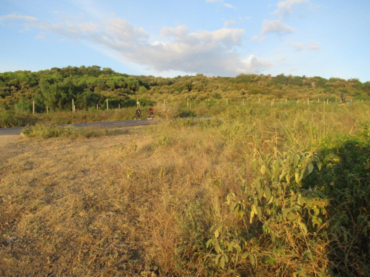 Land at Naivasha Town - 11