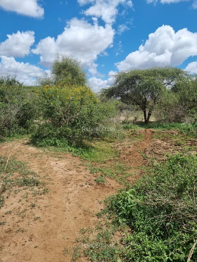 14 ac Land in Bisil - 7