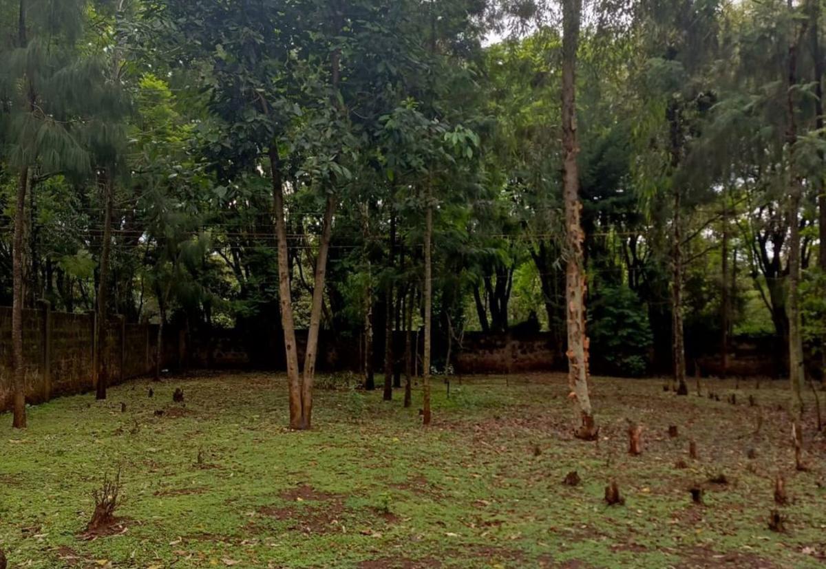 0.5 ac Residential Land at Three Dee Lane - 2