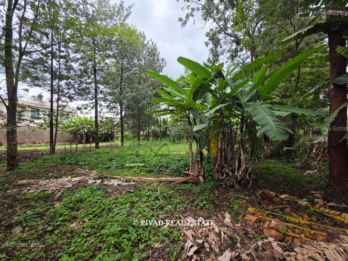 0.5 ac Land in Kitisuru - 5
