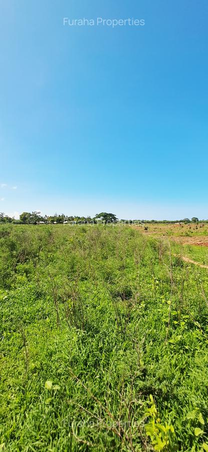 Land at Vipingo - 7