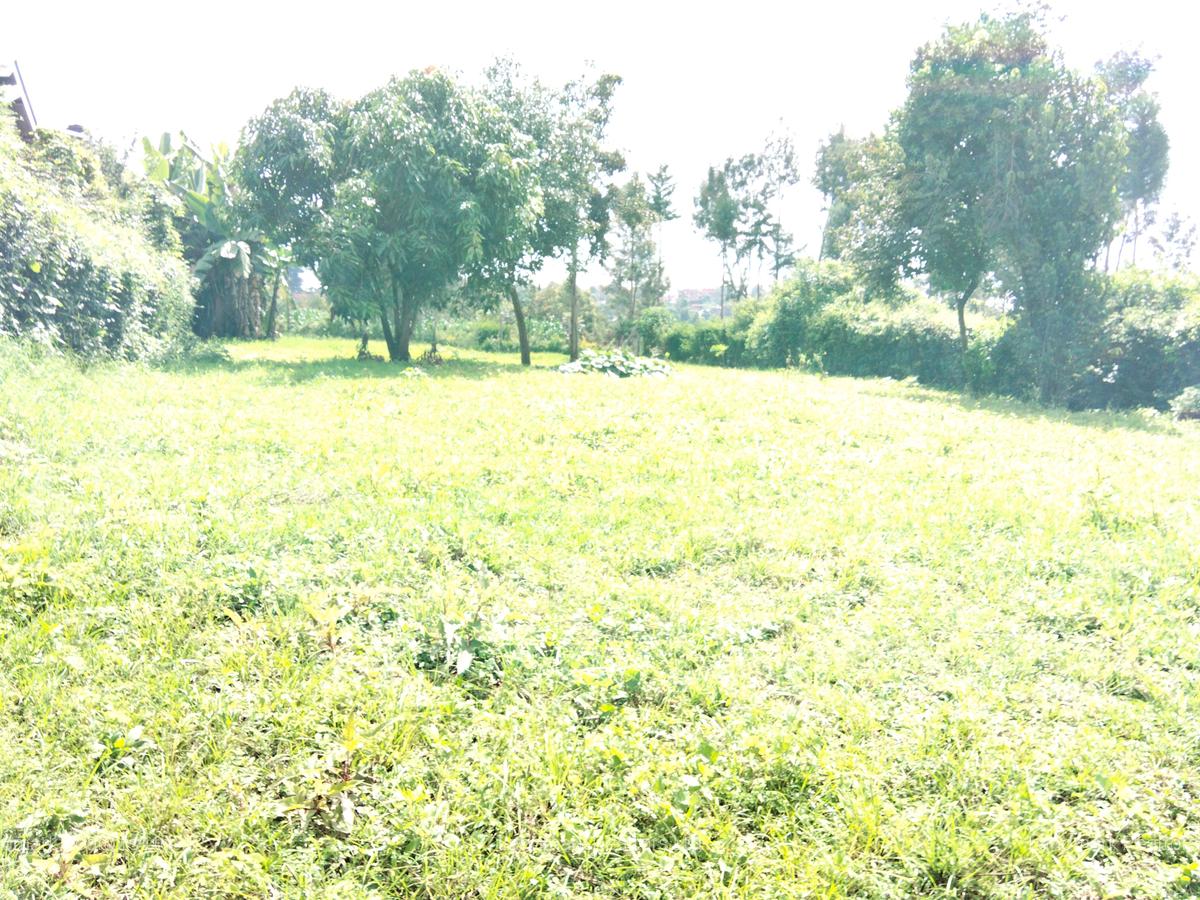 Commercial Land in Kinoo - 1