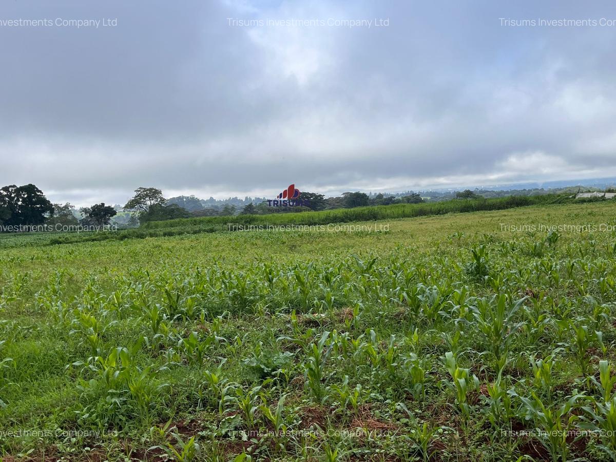 3.7 ac Land at Kiambu - 3