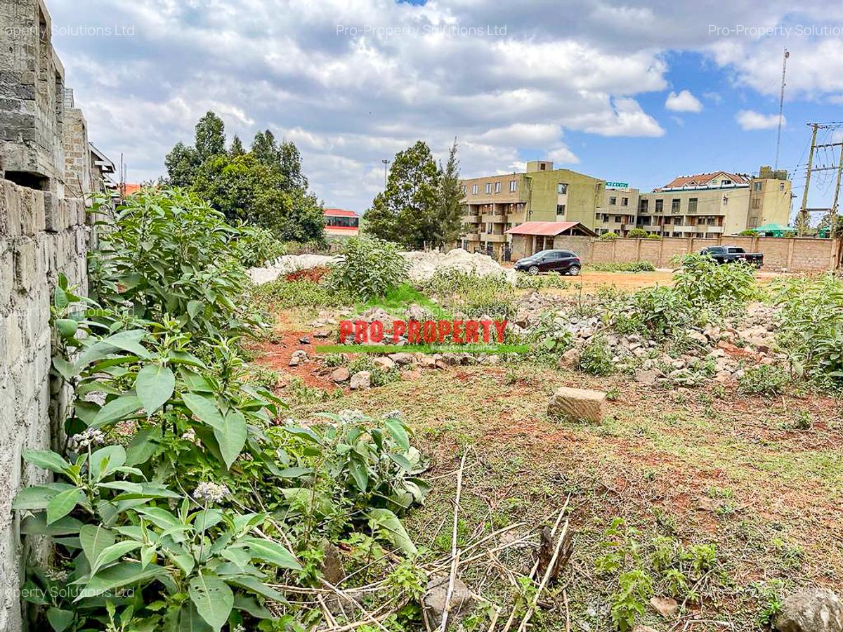 0.2 ha Land at Thogoto - 10