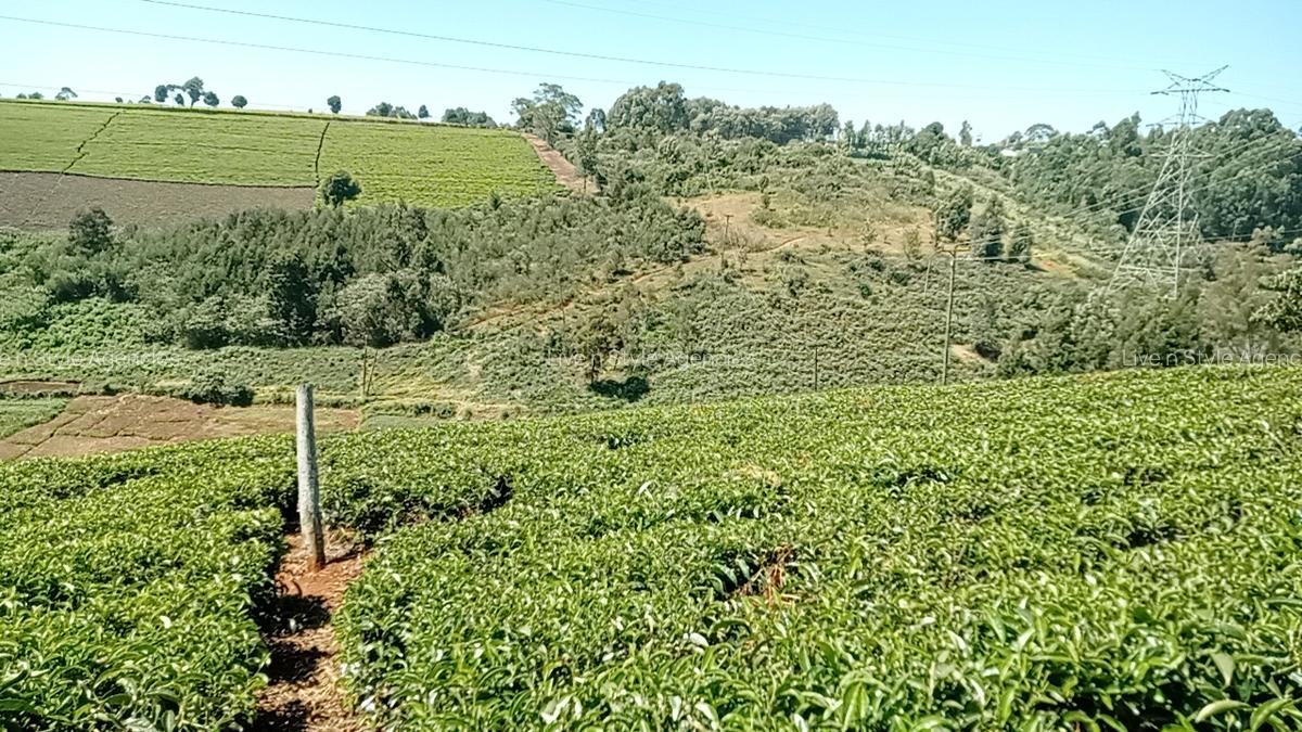 Residential Land in Tigoni - 2