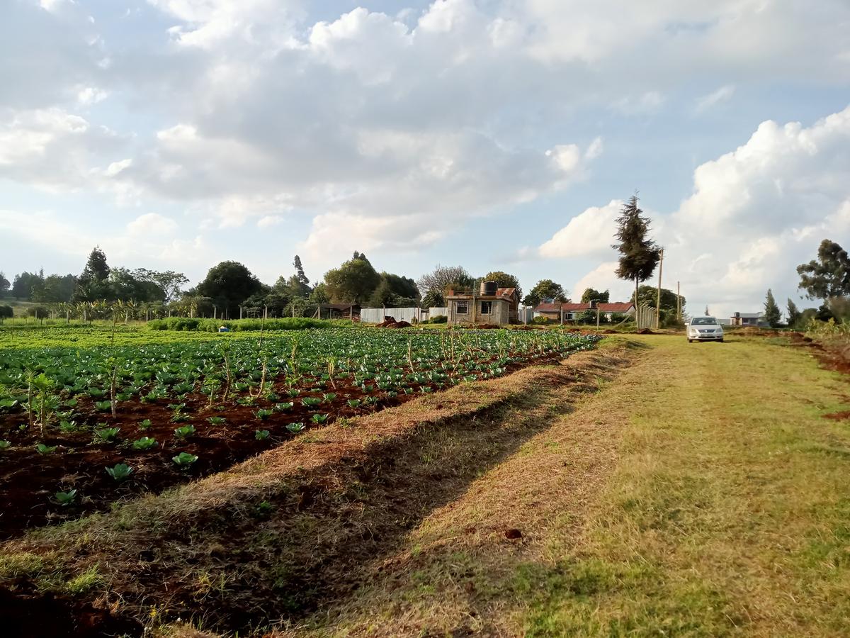 Residential Land in Tigoni - 9