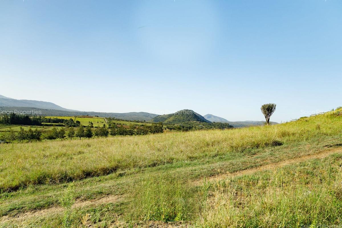 0.125 ac Residential Land in Naivasha - 3