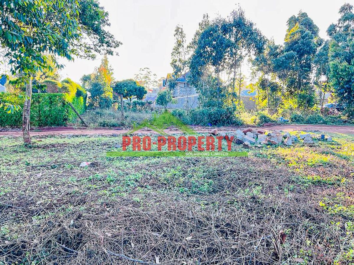 0.05 ha Residential Land in Kikuyu Town - 11