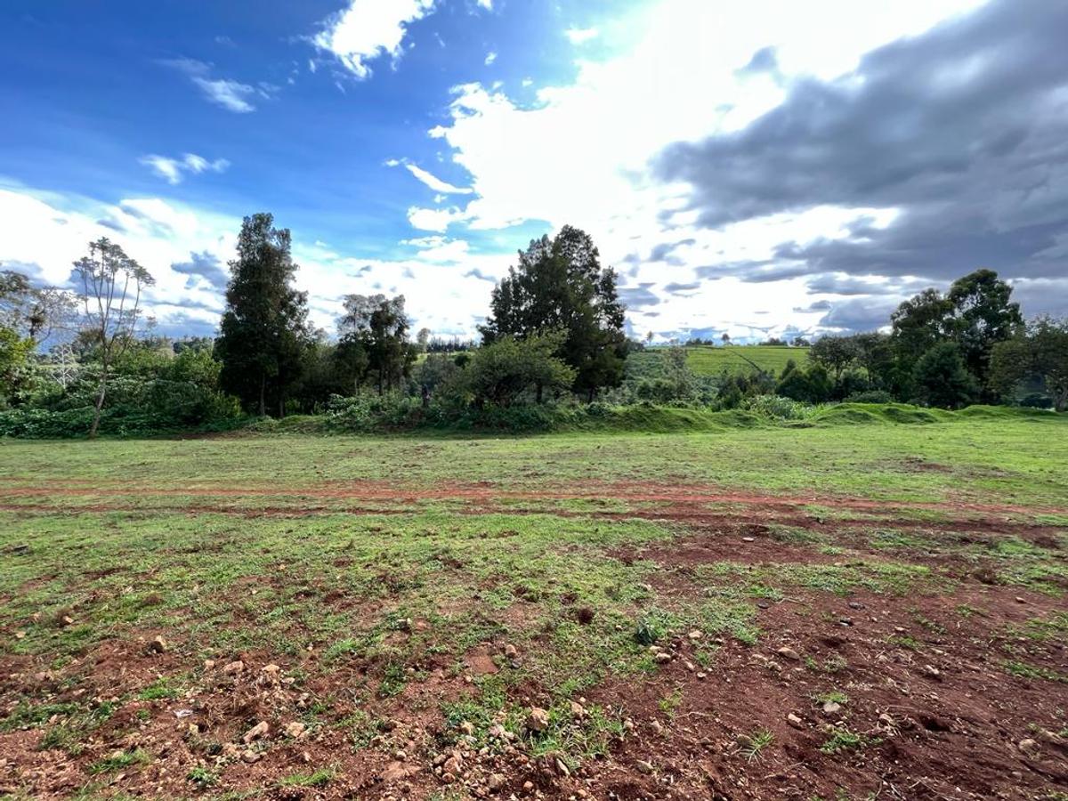 Land in Tigoni - 2