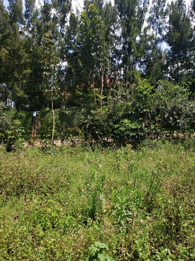 0.5 ac Land in Karen - 3